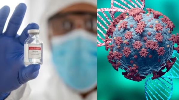 தூக்கி அடிக்கும் ஜேஎன்1 வகை கொரோனா.. நாம் போட்ட வேக்சின்களை நம்மை காக்குமா? ஆய்வாளர்கள் சொல்வது என்ன