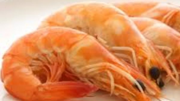 இறால் மீனின் ஆச்சரியம் பாருங்க.. இறால் சாப்பிட்டால் என்னாகும் தெரியுமா? இவ்ளோ நாளா மிஸ் பண்ணிட்டோமே