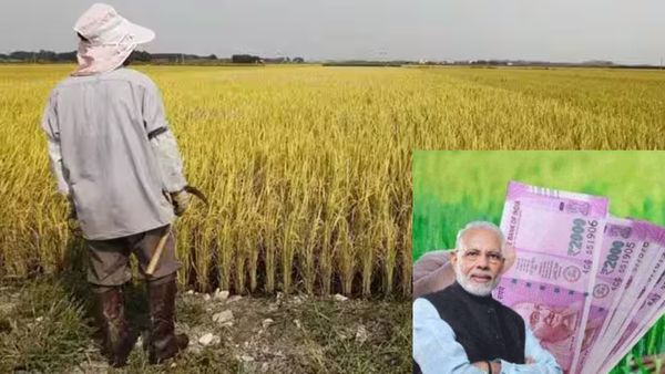 விவசாயிகளுக்கு இனி 12,000 ரூபாய்.. மத்திய பட்ஜெட்டில் வெளியாகும் அதிரடி அறிவிப்பு?