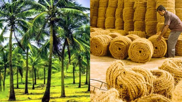 தென்னை நார் தொழிலில் இனி லாபத்தை அள்ளலாம்! கயிறு முதல் காலடி மேட் வரை! அரசாங்கம் செய்த காரியம்!