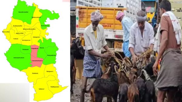 1 ஆடு.. குஷியில் கறிக்கடைக்காரர்கள்.. செவ்வாய்க்கிழமை 'கரிநாள்' வருதே.. மிரளும் நெல்லை மேலப்பாளையம்