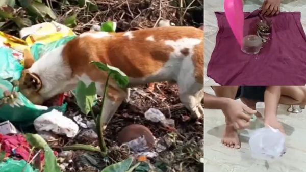 உடைந்த கண்ணாடியை குப்பைத் தொட்டியில் போடுறீங்களா? இப்படி போடுங்கள்! ஐபிஎஸ் அதிகாரியின் விழிப்புணர்வு