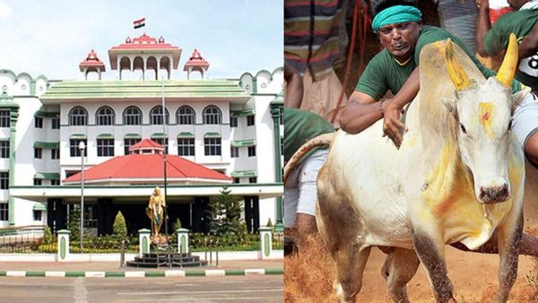 ஜல்லிக்கட்டு போட்டியின்போது சாதி பெயர்களை பயன்படுத்தவே கூடாது.. ஐகோர்ட் அதிரடி உத்தரவு!