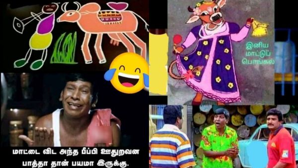 என்னடா மாட்டுக்கு சுடிதார்லாம் போட்டு விட்ருக்கீங்க? ரொம்பத்தான் ஓவரா போறீங்க!