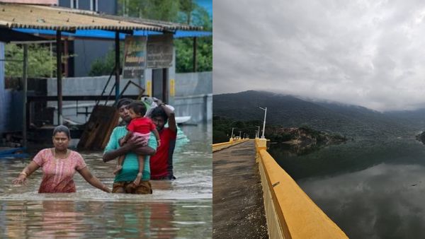 விடாமல் பெய்யும் மழை.. தாமிரபரணி கரையோர மக்களுக்கு நெல்லை கலெக்டர் எச்சரிக்கை.. முக்கிய அறிவிப்பு