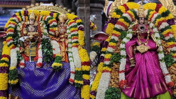 மதுரையில் அஷ்டமி சப்பரத்தில் உலா வந்த மீனாட்சி சுந்தரேஸ்வரர்.. இன்று அன்னதானம் செய்தால் என்ன பலன்?