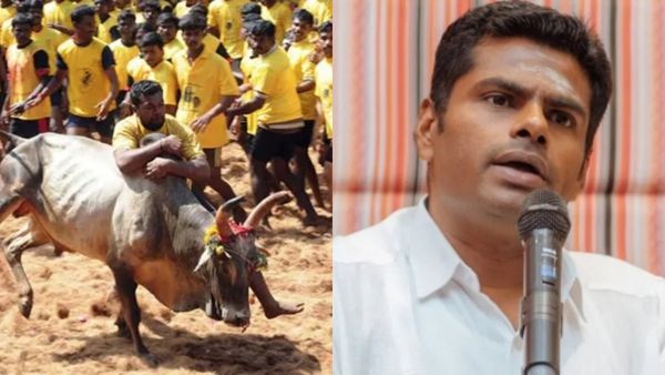 ஜல்லிக்கட்டு மாடுகளை வளர்ப்பவர்களுக்கு ரூ.1000 ஊக்கத்தொகை எப்போ தரப் போறீங்க?: அண்ணாமலை கேள்வி!