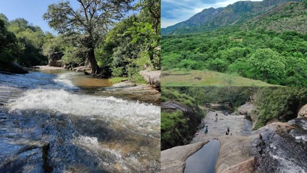ஸ்ரீவில்லிபுத்தூர்காரங்க கொடுத்து வச்சவங்க.. எவ்வளவு அழகான அருவி.. டிரெக்கிங் போக சூப்பர் இடம்