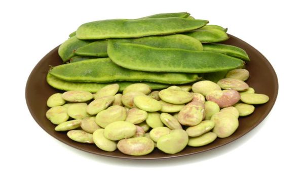 மொச்சைக்கொட்டை.. கொட்டிக்கிடக்கும் ஆச்சரியம்.. கொட்டி கொட்டி கொடுக்கும் நன்மை.. பலே மொச்சை கொட்டை