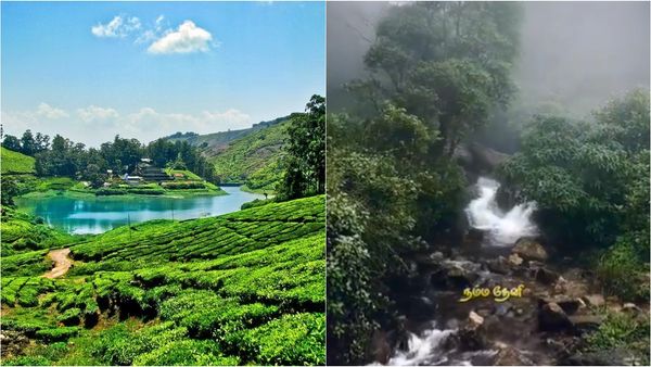 கொடைக்கானல் ஊட்டி போல் சூப்பர் இடம்.. பொங்கலுக்கு தேனி மேகமலை போனால் மிஸ் பண்ண கூடாத இடம்