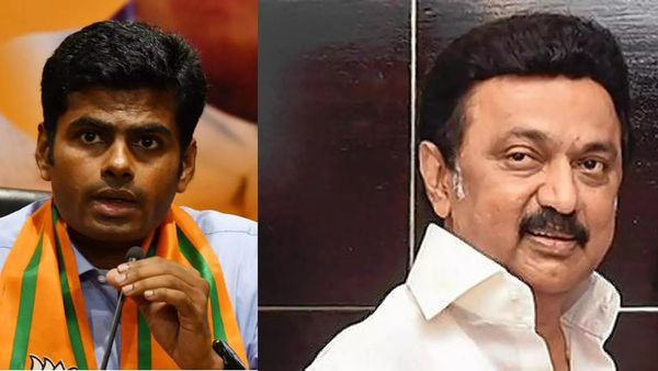 33 மாதங்கள் ஆகியும் சூரிய ஒளி மின்சார பூங்கா வரலையே.. தனியாரை பயமுறுத்தினா எப்படி? பாஜக பாய்ச்சல்!