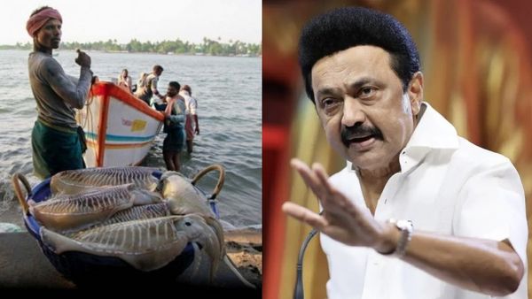 இலங்கை கடற்படை அட்டூழியத்துக்கு தீர்வு கட்டுக! மத்திய அரசுக்கு முதல்வர் ஸ்டாலின் மீண்டும் கடிதம்!