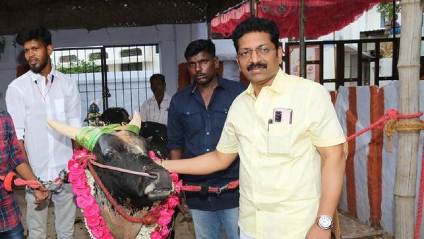 ஜல்லிக்கட்டு லீக் நடத்தக் கூடாது! குதிரை ரேஸ் போல் வியாபாரமாகிவிடும் ! மதுரை Dr சரவணன் முட்டுக்கட்டை