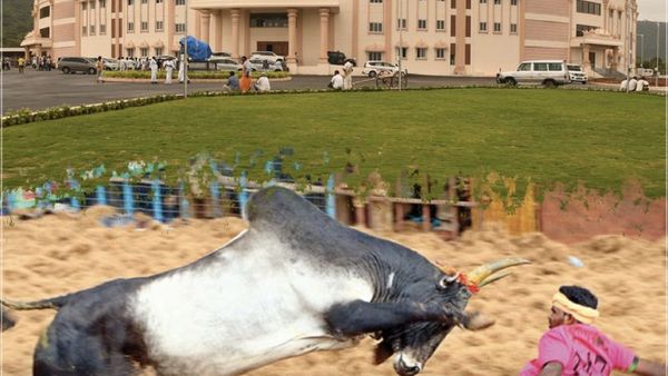 அலங்காநல்லூரில் அதிசயம்: மதுரை கீழக்கரை ஜல்லிக்கட்டு அரங்கத்தை திறந்து வைக்கிறார் முதல்வர் ஸ்டாலின்