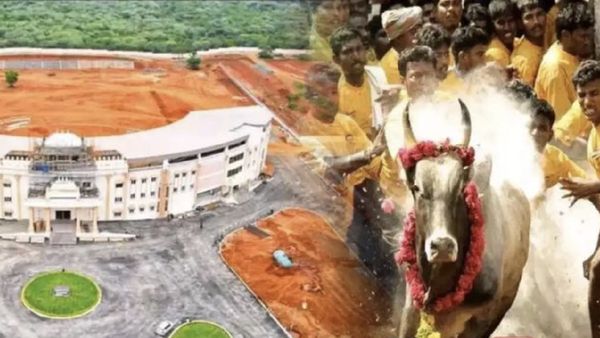 மதுரை குலுங்க குலுங்க.. இதுதான் ஜல்லிக்கட்டு அரங்கு.. வெறும் 9 மாத பிரம்மாண்டம்.. அழகு அலங்காநல்லூர்