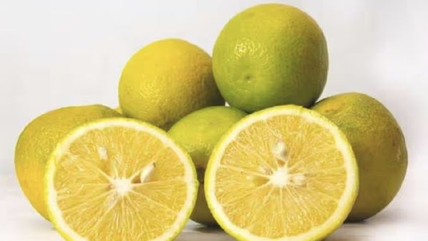 சாத்துக்குடி பழத்தில் இவ்ளோ? சாத்துக்குடி ஜூஸ் + சுடுநீர் குடித்து பாருங்க.. நம்ப முடியாத ஆச்சரியம்