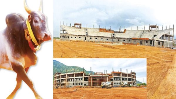 அரசு கிப்ட் + சிவப்பு நிற கார்.. கிறங்கும் கீழக்கரை.. திமில் பிடித்து திமிர் காட்டும் மதுரை வீரர்கள்