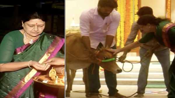 ‛‛சசிகலாவை பதறவைத்த பசு’’.. ஆக்ரோஷமானதால் பரபரப்பு..புதுமனை புகுவிழாவில் மிரண்டுப்போன உறவினர்கள்