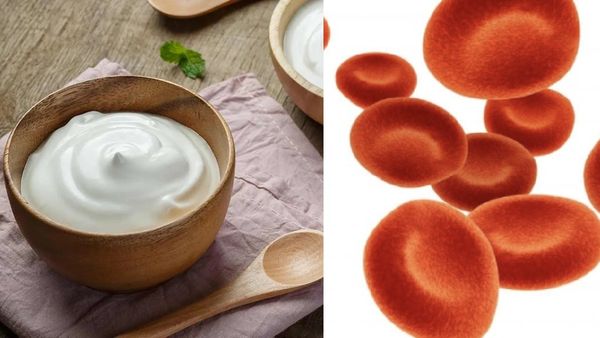 சர்னு வெயிட் குறையணுமா? அப்ப சூப்பர் சாய்ஸ் யோகர்ட் இருக்கே.. சர்க்கரை நோயாளி யோகர்ட் சாப்பிடலாமா?