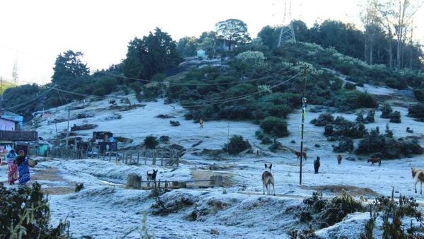 உதறும் ஊட்டி.. அலறும் அவலாஞ்சி.. வெடவெடப்பை தரும் வெள்ளை பனி! என்ன காரணம்?