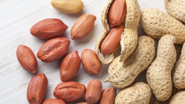 மல்லாக்கொட்டை.. மலைக்க வைக்கும் கொட்டை.. நோயை விரட்டி விரட்டி ஒழிக்கும் கொட்டை.. மாஸ் மல்லாக்கொட்டை