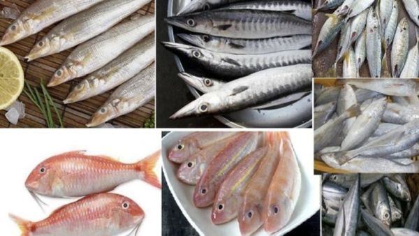 மீனில் டாப் இதுதான்.. தினமும் மீன் சாப்பிடுவதால் நடக்கும் அற்புதம் தெரியுமா?.. நலனை வழங்கும் மீன்கள்