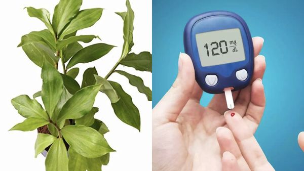 சர்னு சர்க்கரை இறங்கணுமா?அப்ப இந்த 