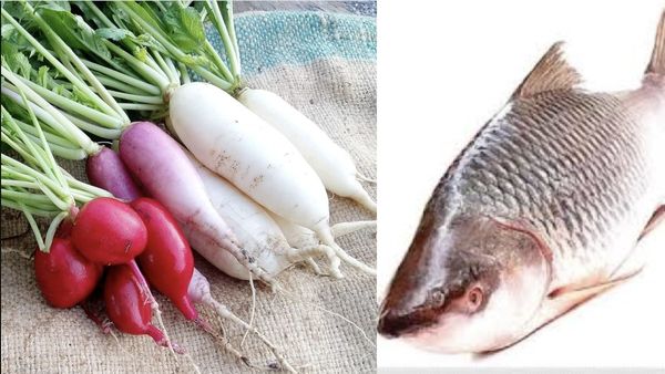 வெறும் முள்ளங்கி போதும்.. சிவப்பு Vs வெள்ளை முள்ளங்கியில் எது பெஸ்ட்? வாவ் அட்டகாச முள்ளங்கி கிழங்கு