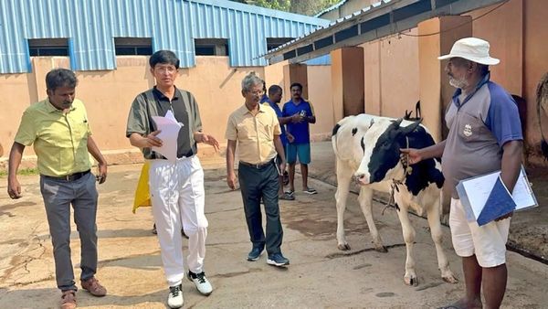 சென்னையில் சிக்கலாகும் மாடுகள்..ஒரே மாதத்தில் 1,266 தெருநாய்கள் பிடிப்பு..ராதாகிருஷ்ணன் ஐஏஏஸ் பேட்டி