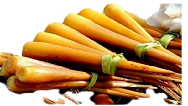 பனங்கிழங்கு.. பலே கிழங்கு.. இம்யூனிட்டி முதல் ரத்தசோகை வரை ஓடிரும்.. பனங்கிழங்கின் 