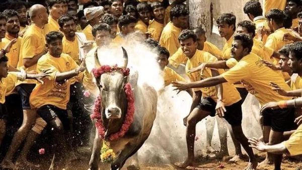 மதுரை ஜல்லிக்கட்டு.. வாடிவாசல் தாண்டும் காளைகளுக்கு நாளை முதல் முன்பதிவு.. என்னென்ன கட்டுப்பாடுகள்