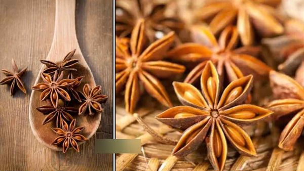 அன்னாசி பூ.. அவ்வளவும் மருத்துவம்.. இது வெறும் மசாலா கிடையாது.. பன்றி காய்ச்சலையே விரட்டும் ஸ்டார்பூ