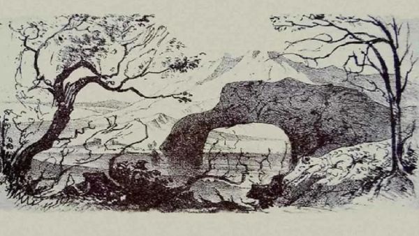 Optical Illusion: பிளாக் அன்ட் ஒயிட் படத்தில் எத்தனை விலங்குகள் இருக்கு?.. 50 செகன்ட்ஸ்தான் டைம்!