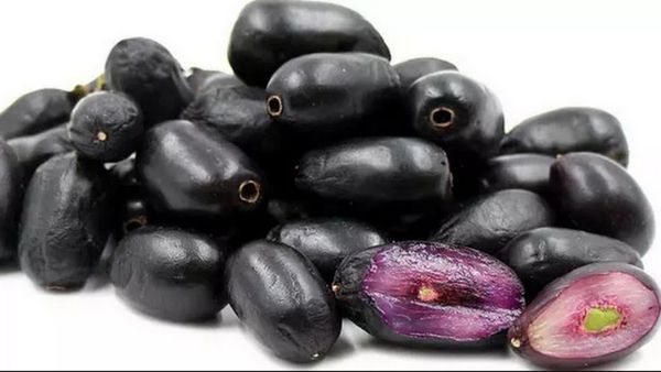 நாவல் பழம்.. நல்லது செய்யும் பழம்.. நாவல் ஜூஸ் ஒன்னு போதும், மொத்த நோயும் ஓடிரும்.. இதய நண்பன் நாவல்