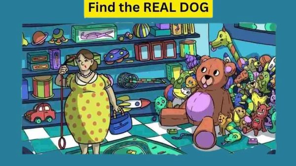 கில்லி படம் கான்செப்ட்டேதான்! இந்த பொம்மைக்கு நடுவே நாய் எங்க இருக்கு பாருங்க! 5 செகன்ட்ஸ்தான் டைம்!