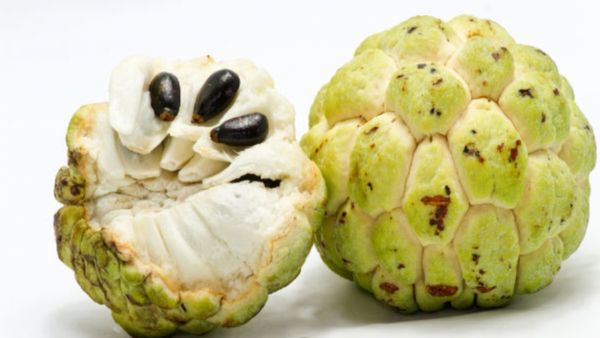 சீதாப்பழ கொட்டை.. சீத்தாப்பழம் போலவே சீத்தாப்பழ விதைகள்.. இப்படி செய்தாலே, தலையிலுள்ள பேன் ஓடிருமாமே