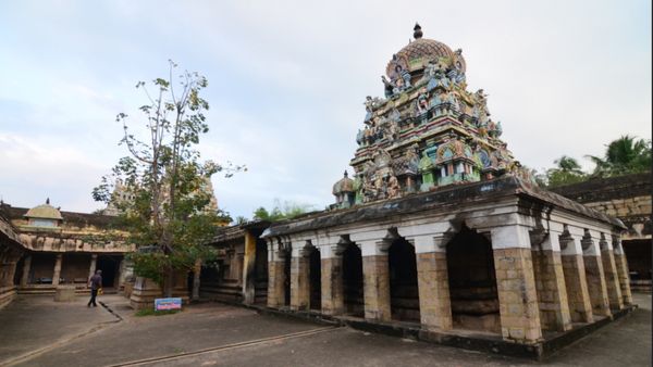 விஷத்தன்மை கொண்ட எருக்க இலையில் தயிர் சாதம் பிரசாதம்.. பிராணம் காக்கும் பிராணநாதேஸ்வரர் 