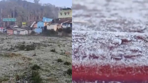 புது வெள்ளை மழை.. ஊட்டியில் வாட்டும் உறைபனி!.. நடுங்கும் நீலகிரி மக்கள்