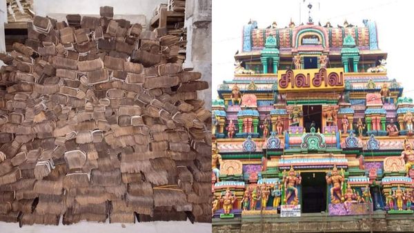 வைத்தீஸ்வரன் கோவில் நாடி ஜோதிடம் எதிர்காலத்தை சரியாக கணிக்கிறதா?