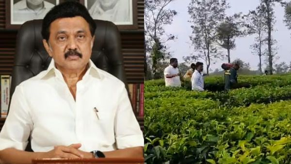 சிறுத்தை தாக்கி சிறுமி உட்பட 2 பேர் பலி.. தலா ரூ.10 லட்சம் இழப்பீடு வழங்க முதல்வர் ஸ்டாலின் உத்தரவு!