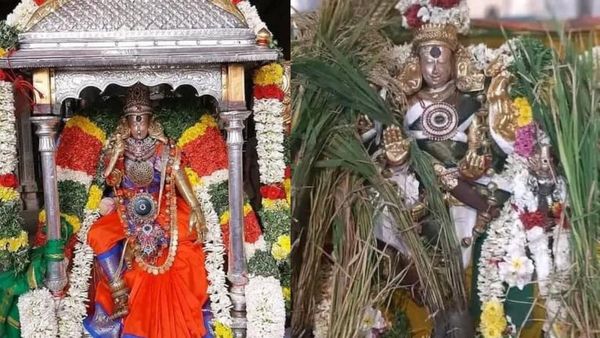 தைப்பூசம்..கதிர் அறுக்கும் மீனாட்சி சுந்தரேஸ்வரர்.. தெப்பத்திருவிழாவை காண தயாராகும் மதுரை