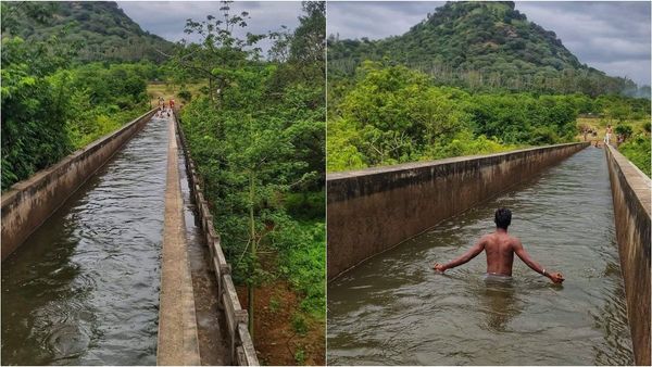 ஊட்டி, கொடைக்கானலை விடுங்க.. பொங்கலுக்கு மேகமலை, வாகமன், தேக்கடி போனால் இதை மிஸ் பண்ணிடாதீங்க!