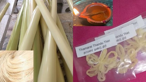 தீப திரி.. சாதாரண விசயமில்லை.. வாழைத்தண்டு.. தாமரைத்தண்டு திரி.. சாஸ்திரம் சொல்வதென்ன?