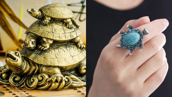 வாஸ்து டிப்ஸ்.. ஆமை சிலையை எந்த திசையில் வைக்கலாம்.. விரலில் ஆமை மோதிரம்.. யாருக்கு அதிர்ஷ்டம் ?