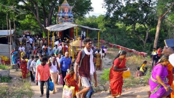 தை பிரதோஷம்.. தை அமாவாசை: சதுரகிரியில் குவிந்த பக்தர்கள்.. வனத்துறை விதித்த கட்டுப்பாடுகள் என்ன?