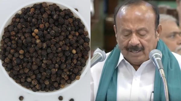 கொல்லிமலை மிளகு.. நெல்லை அவுரி.. 10 வேளாண் பொருட்களுக்கு ரூ.30 லட்சம் செலவில் புவிசார் குறியீடு