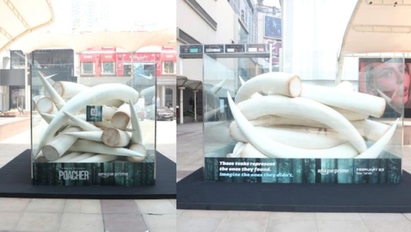 யானைகளின் வலியை பேசும்.. போச்சர் சீரிஸ்! வித்தியாசமாக விளம்பரம் செய்த அமேசான் பிரைம்