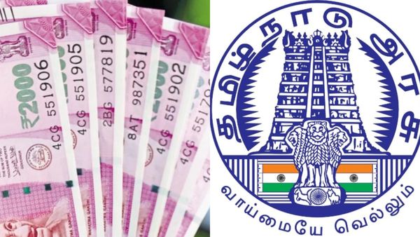 குட் நியூஸ்.. அரசு வேலை + கை நிறைய சம்பளம்.. தமிழ்நாடு அரசின் மணி மணியான அறிவிப்பு.. பலே சிவசங்கர்