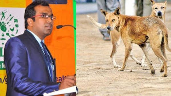 தெருநாய் கடித்து குழந்தை உயிரிழப்பு! குழந்தைகளை நாய்கள் கடிப்பது ஏன்?.. மருத்துவர் பரூக் விளக்கம் 