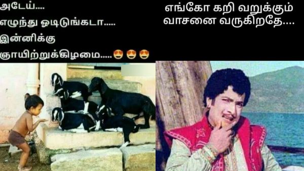 அடேய்.. எழுந்து ஓடுங்கடா.. இன்னைக்கு ஞாயிற்றுக்கிழமை!